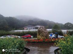 -广州市石门国家森林公园