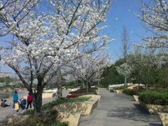 android_upload_pic-新江湾城公园