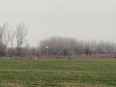 -汉长安城未央宫国家考古遗址公园