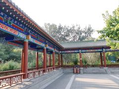 -莲花池公园