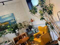-青莯_Percher Coffee Shop(皮市街店)