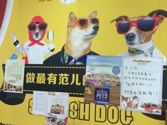 -神采飞扬宠物美容(香港路店)