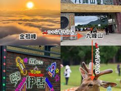 -汤旺河林海奇石景区
