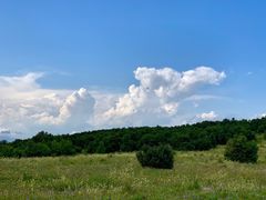 -白草畔自然风景区