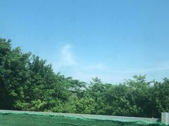 -大湾区中央湿地公园