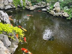 -鲤院·新中式美学·庭院餐厅(夫子庙店)