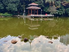 -黄埔荔枝公园