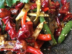 -陈麻婆豆腐总店