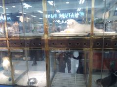 -乐宠宠物店(世纪金源店)