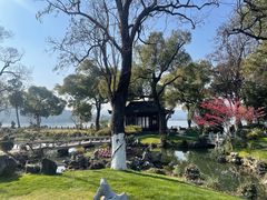 -杭州西湖柳莺里酒店·闻莺厅