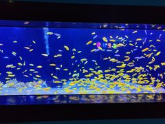 -成都浩海立方海洋公园