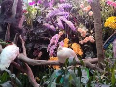 -正佳雨林生态植物园