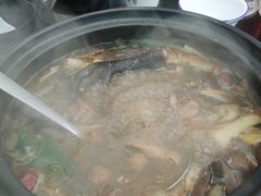 -蘑统田下·野生菌火锅