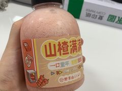 -野萃山·潮汕厚果汁(十亩地店)
