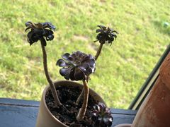 -山下C5cafe(惠通时代广场店)