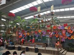 -南宫五洲植物乐园