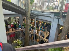 -圣淘沙天际线斜坡滑车