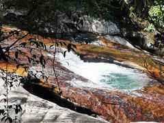 -广州白江湖森林公园