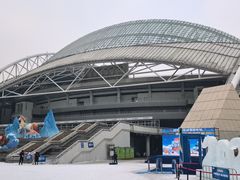 -沈阳奥体冰雪嘉年华