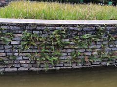 -龙头寺公园