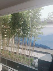 点击看大图 -爱儿美儿童摄影(朝阳公园店)