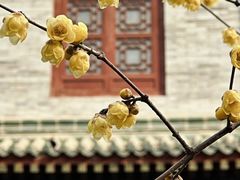 -西安化觉巷清真大寺