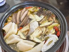 -蘑统田下·野生菌火锅