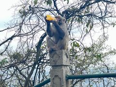 -黔灵山公园