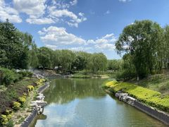 -大兴滨河森林公园