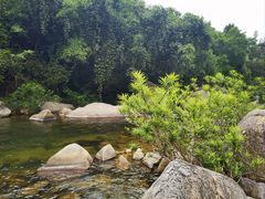 -海南热带雨林国家公园吊罗山景区