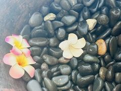 -泰禾馨·泰式按摩精油SPA(华荣大厦店)