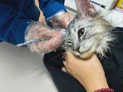 -谐和贝康宠物医院24小时·宠保定点(急重症转诊中心)
