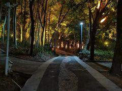-福神岗公园