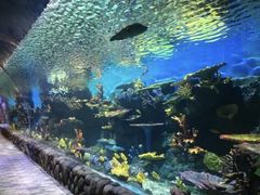 -华夏文旅海洋公园