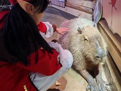 -正佳雨林生态植物园