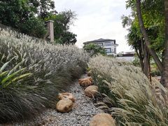 -仙湖旅游度假区