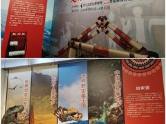 -北京周口店北京人遗址博物馆