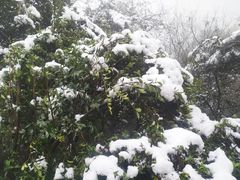 -杭州半山国家森林公园