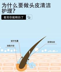 -Bollins波林丝•专研护发中心