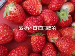 -光明刘冰乳鸽店(光明法政北路店)