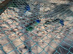 -南京金牛湖风景区