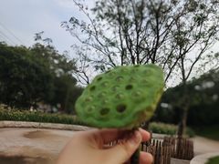 -万泉公园