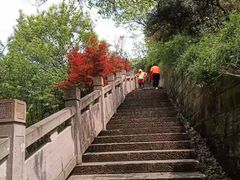 -杭州半山国家森林公园