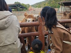 -无锡动物园·太湖欢乐园