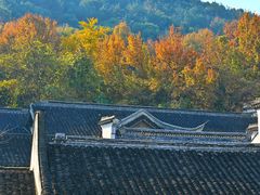 -惠山古镇·寄畅园