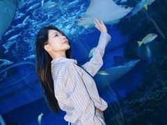 -海合安成都极地海洋公园