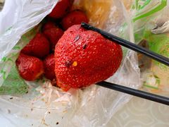 -雪儿钱局泡菜