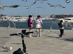 -东港音乐喷泉广场