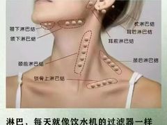 -莱仪堂艾灸经络养生馆(九亭一店)