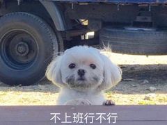 -花味·自助烤肉(雨花客厅店)